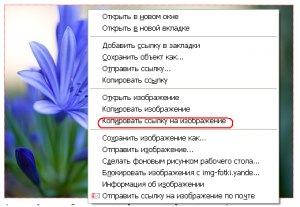 copyImageLink